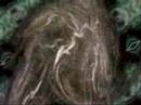 Terence Mckenna - Schizophrenic or Shamanic? on YouTube
Terence Mckenna - Schizophrenic or Shamanic? on YouTube