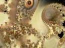 Must see Video: Terence McKenna: Sex Magic and DMT
Must see Video: Terence McKenna: Sex Magic and DMT
