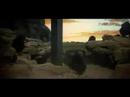 Terence McKenna _ The Language of Psilocybin
Terence McKenna _ The Language of Psilocybin