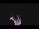 Great Video: The Magic Four
Great Video: The Magic Four