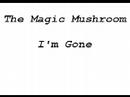 The Magic Mushroom - I'm gone: Must see
The Magic Mushroom - I'm gone: Must see