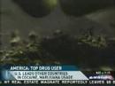 News: The Reality on the Ground in the War on DRUGS!
News: The Reality on the Ground in the War on DRUGS!