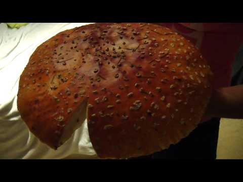 Come see: World's Biggest Mushroom! Amanita Muscaria
